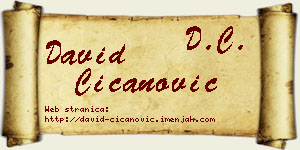 David Čičanović vizit kartica